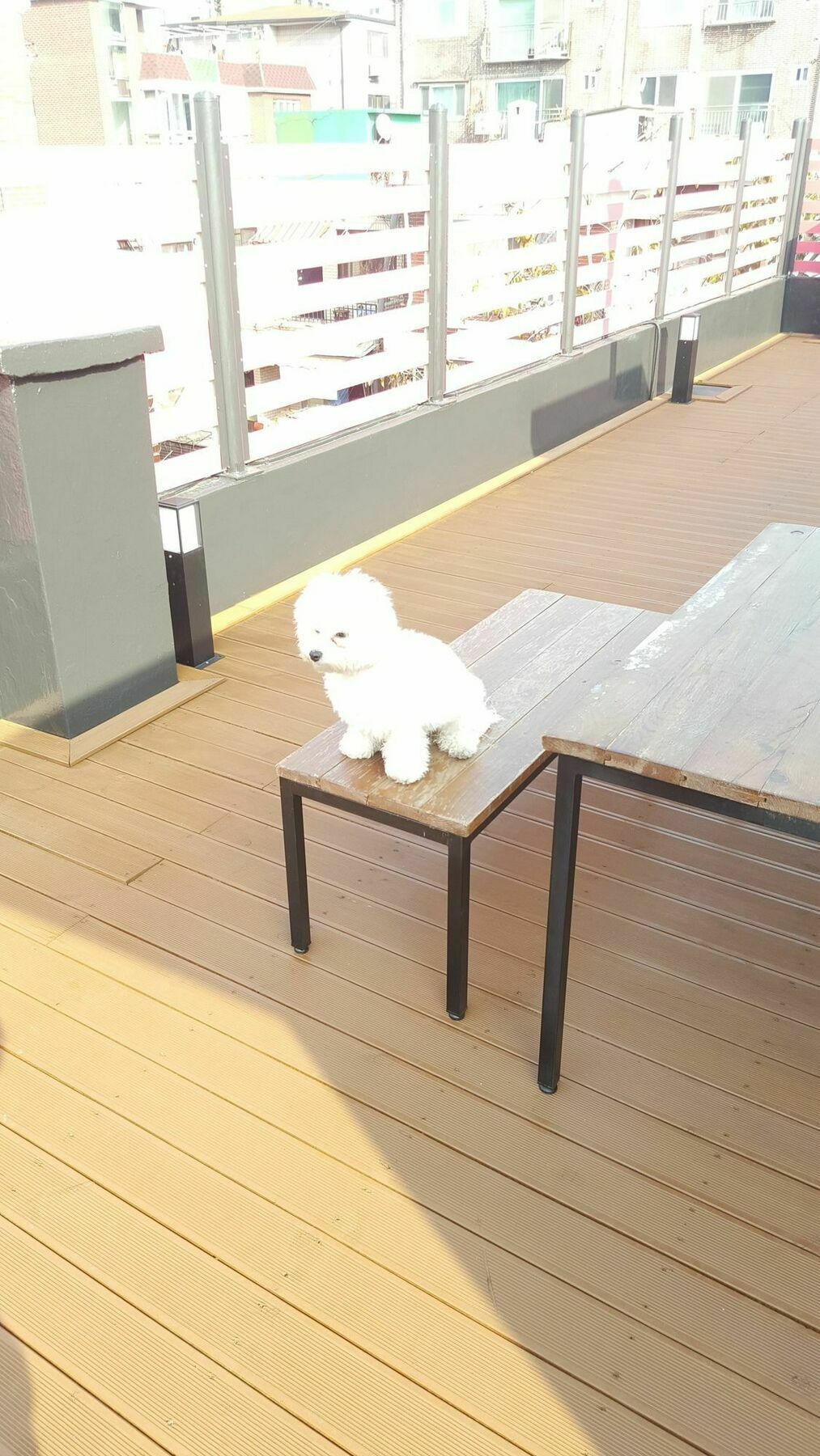 Amazon Guesthouse Seul Dış mekan fotoğraf