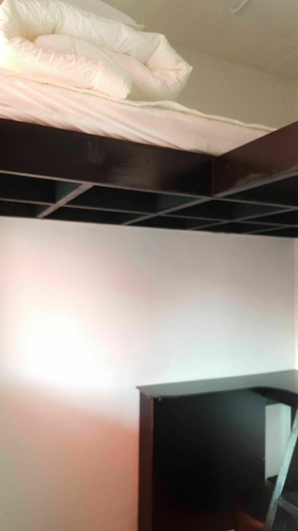 Amazon Guesthouse Seul Dış mekan fotoğraf