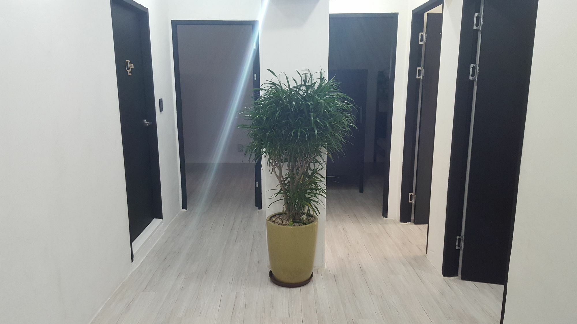 Amazon Guesthouse Seul Dış mekan fotoğraf
