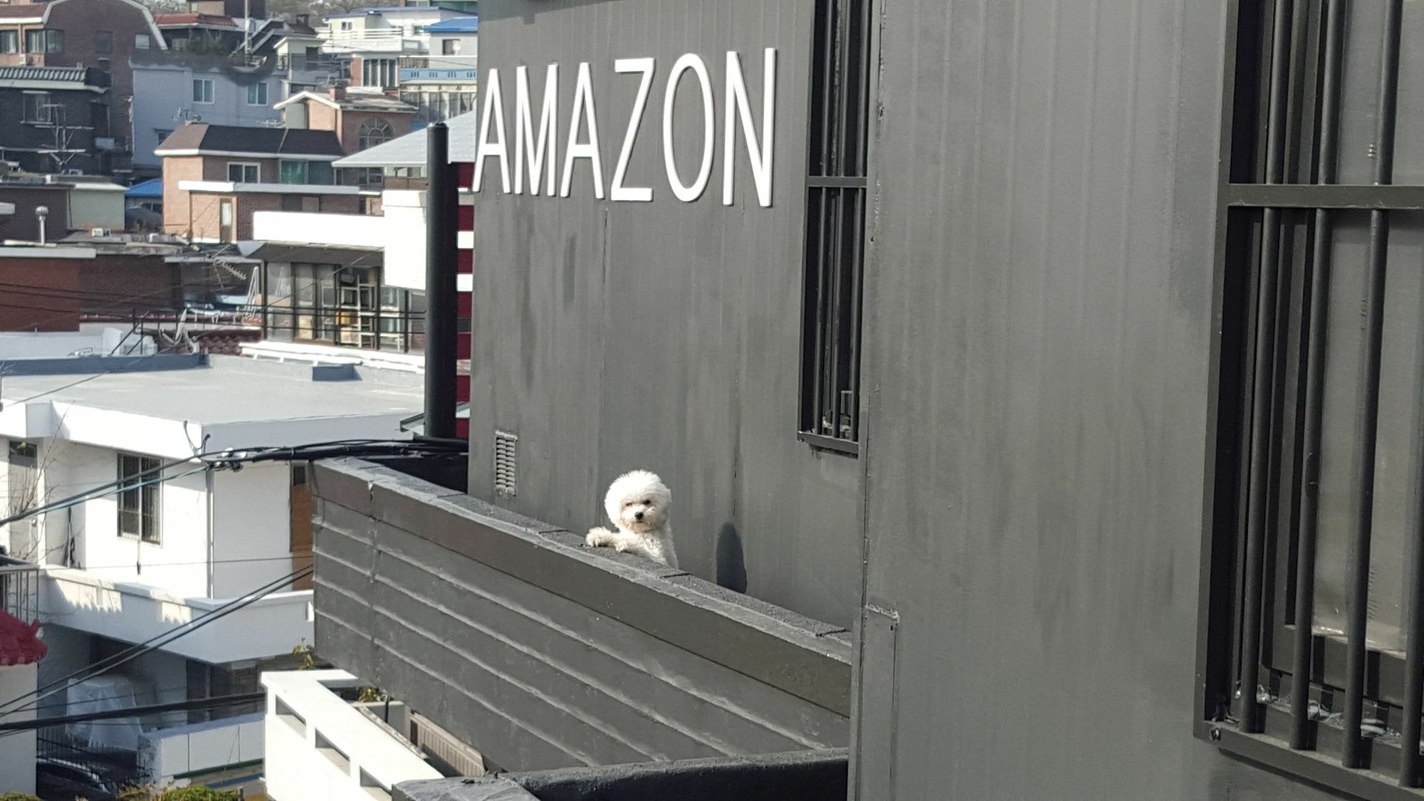 Amazon Guesthouse Seul Dış mekan fotoğraf